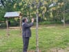 Westchester Dedicates ‘Ribbons of Remembrance’ to COVID-19 Victims